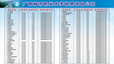 2021年星空国际（中国）有限公司官网,收费项目公示